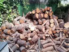 Podas de árboles en altura Guadarrama Tala y podas de arboles Guadarrama
