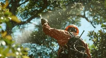 ontrol y prevenención plagas arbolado prevención plagas arbolado