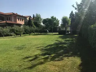 Desbroces madrid fincas y parcelas Limpiezas de terrenos
