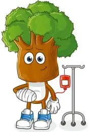 ENDOTERAPIA VEGETAL TRATAMIENTO PLAGAS