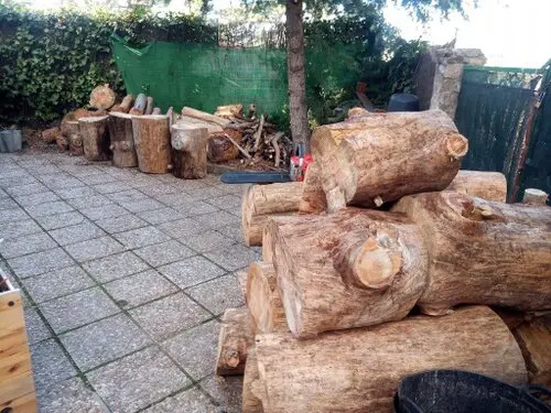 podadores y taladores